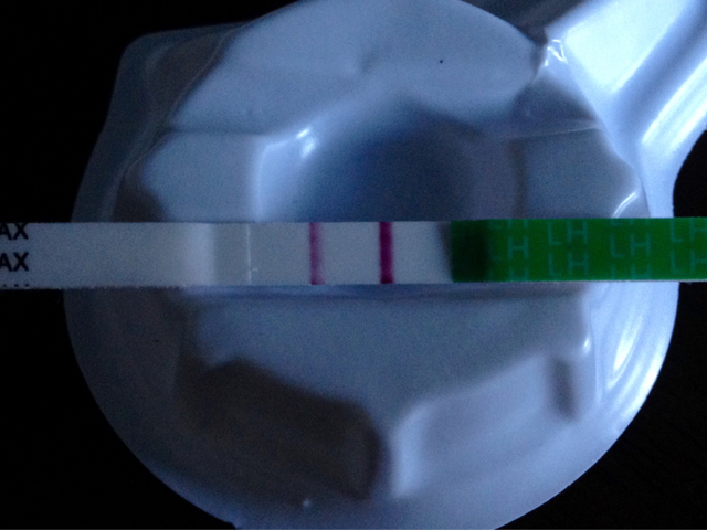 ImageUploadedByVau Foorumi1426399433.984035.jpg