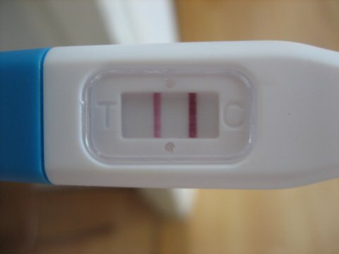 ImageUploadedByVau Foorumi1427059615.173610.jpg