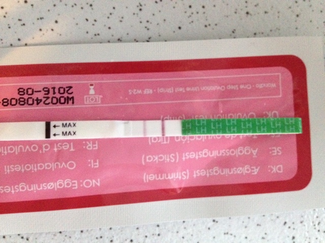 ImageUploadedByVau Foorumi1427176332.487089.jpg