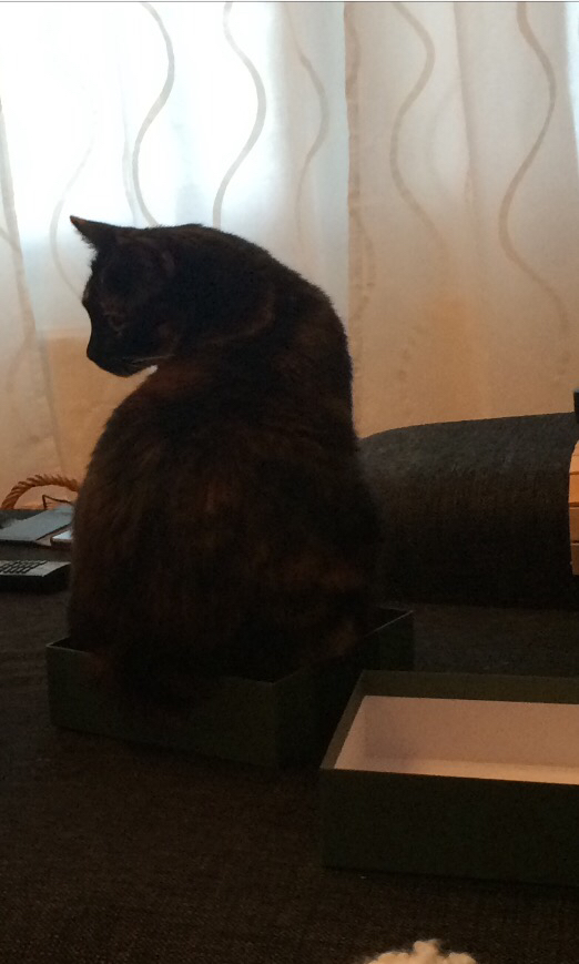 ImageUploadedByVau Foorumi1427552991.720804.jpg