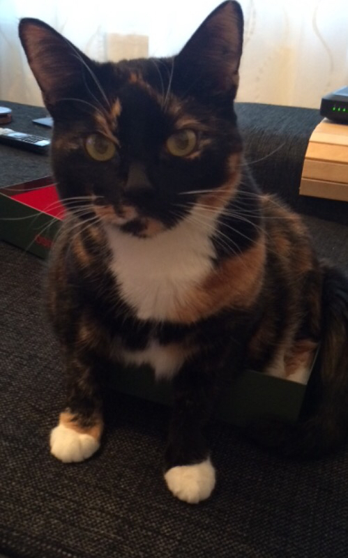 ImageUploadedByVau Foorumi1427553007.236500.jpg