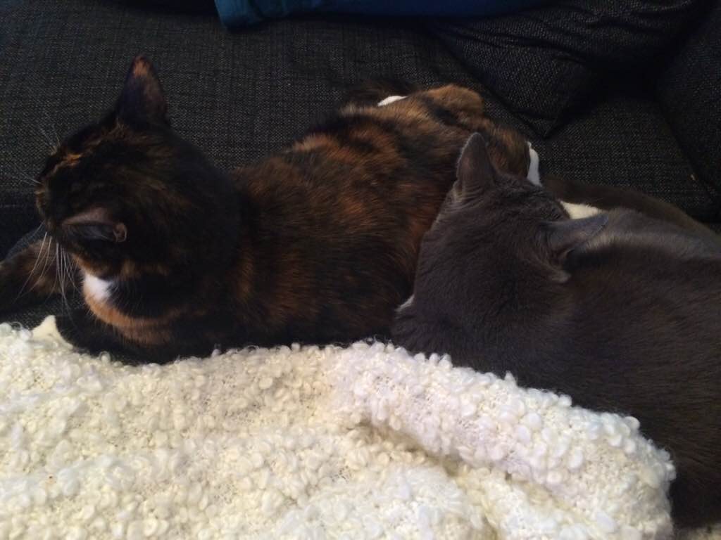 ImageUploadedByVau Foorumi1427555002.952908.jpg