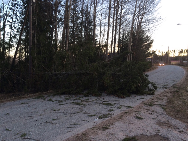 ImageUploadedByVau Foorumi1428466093.659809.jpg