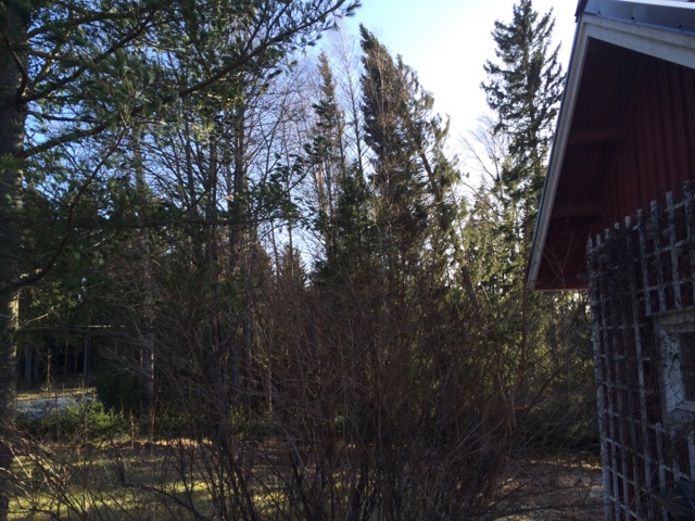 ImageUploadedByVau Foorumi1428505496.153156.jpg