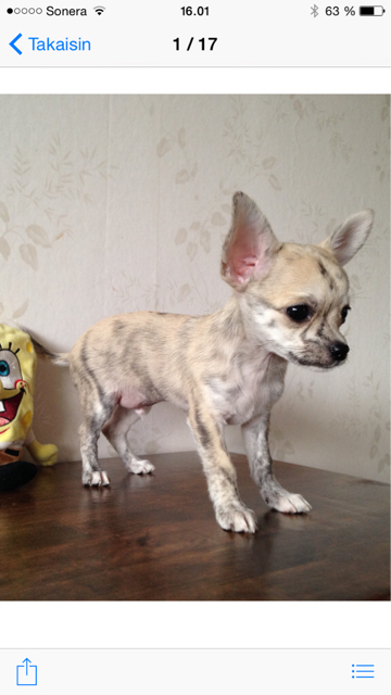 ImageUploadedByVau Foorumi1428842732.715328.jpg