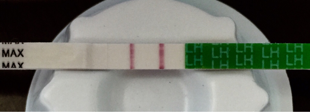 ImageUploadedByVau Foorumi1428933566.358035.jpg