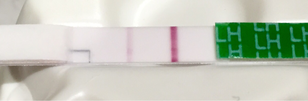 ImageUploadedByVau Foorumi1428985650.795628.jpg