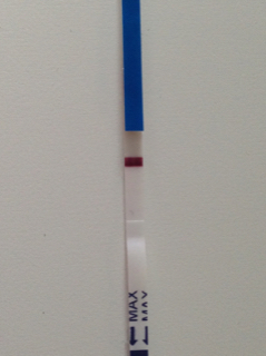 ImageUploadedByVau Foorumi1429614745.337028.jpg