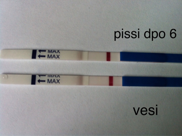 ImageUploadedByVau Foorumi1429687055.759256.jpg