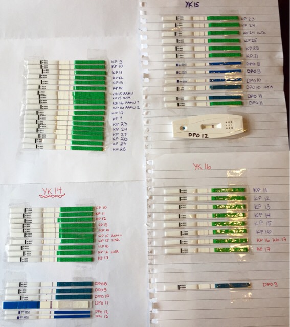 ImageUploadedByVau Foorumi1429792857.998991.jpg