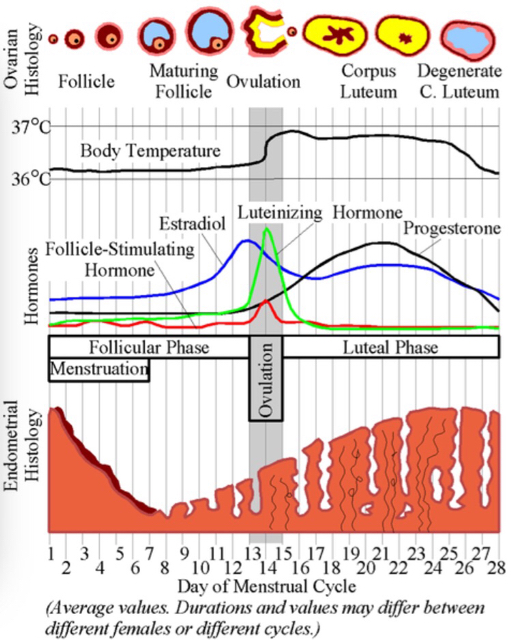 ImageUploadedByVau Foorumi1431153550.672695.jpg