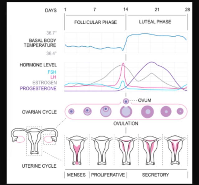 ImageUploadedByVau Foorumi1431153570.100230.jpg