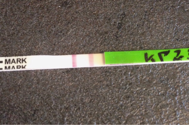 ImageUploadedByVau Foorumi1431678465.585257.jpg