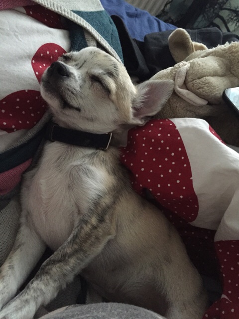 ImageUploadedByVau Foorumi1431871260.151067.jpg