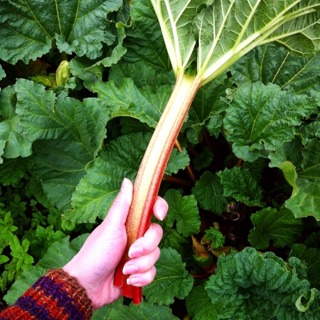 ImageUploadedByVau Foorumi1432194103.942236.jpg