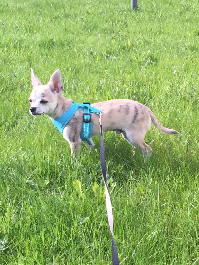 ImageUploadedByVau Foorumi1432232132.460288.jpg