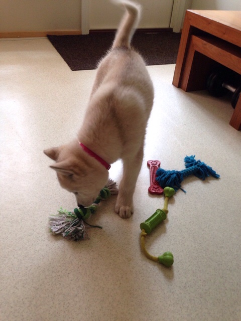 ImageUploadedByVau Foorumi1432299347.986723.jpg