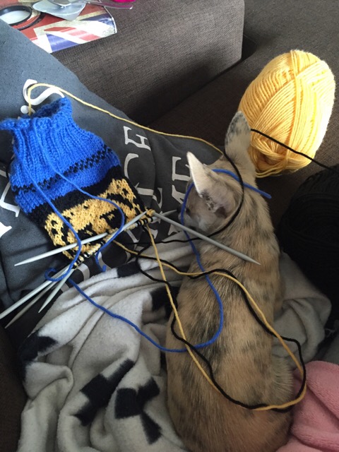 ImageUploadedByVau Foorumi1432456960.821386.jpg