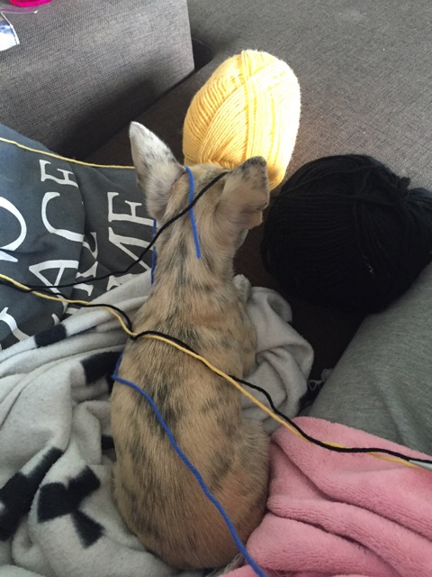 ImageUploadedByVau Foorumi1432456989.184557.jpg