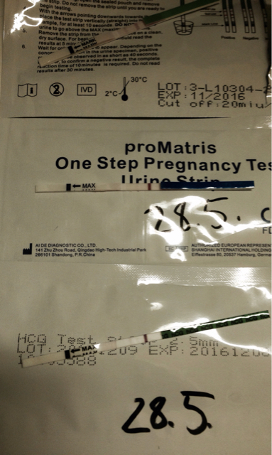 ImageUploadedByVau Foorumi1432797991.887518.jpg