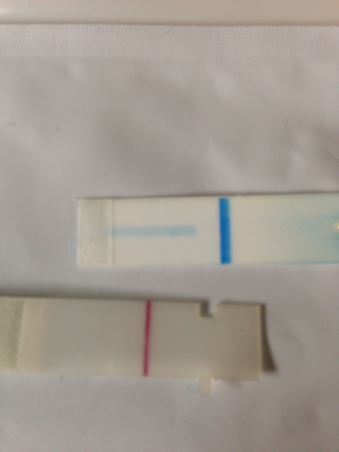 ImageUploadedByVau Foorumi1438350516.973906.jpg