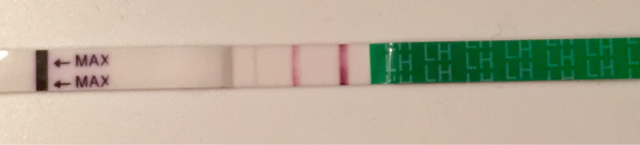 ImageUploadedByVau Foorumi1445493375.383580.jpg