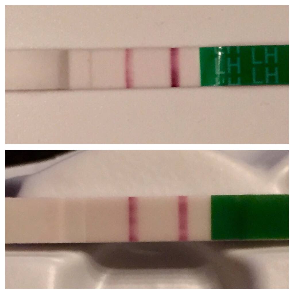 ImageUploadedByVau Foorumi1445498078.108357.jpg