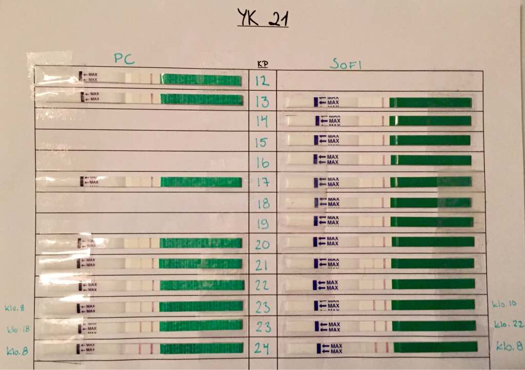 ImageUploadedByVau Foorumi1445578645.286818.jpg