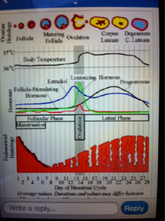 ImageUploadedByVau Foorumi1446213441.284708.jpg