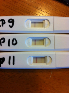 ImageUploadedByVau Foorumi1446379523.956626.jpg