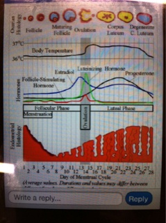 ImageUploadedByVau Foorumi1446446059.171190.jpg