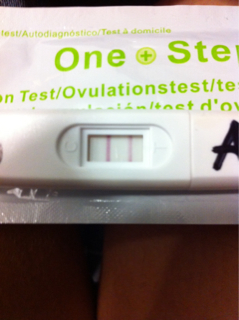 ImageUploadedByVau Foorumi1446707110.167288.jpg