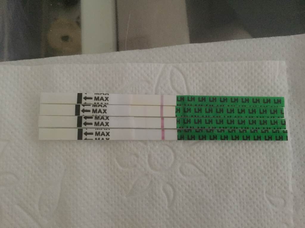 ImageUploadedByVau Foorumi1447148798.121737.jpg