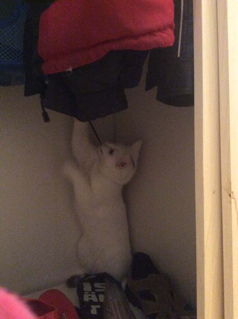 ImageUploadedByVau Foorumi1447408543.315600.jpg