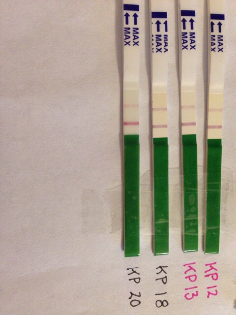 ImageUploadedByVau Foorumi1447924295.672474.jpg