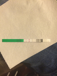 ImageUploadedByVau Foorumi1448193159.433172.jpg