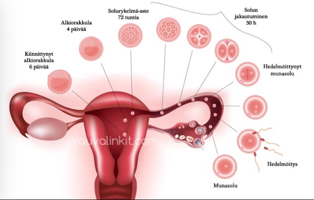 ImageUploadedByVau Foorumi1448441492.352342.jpg