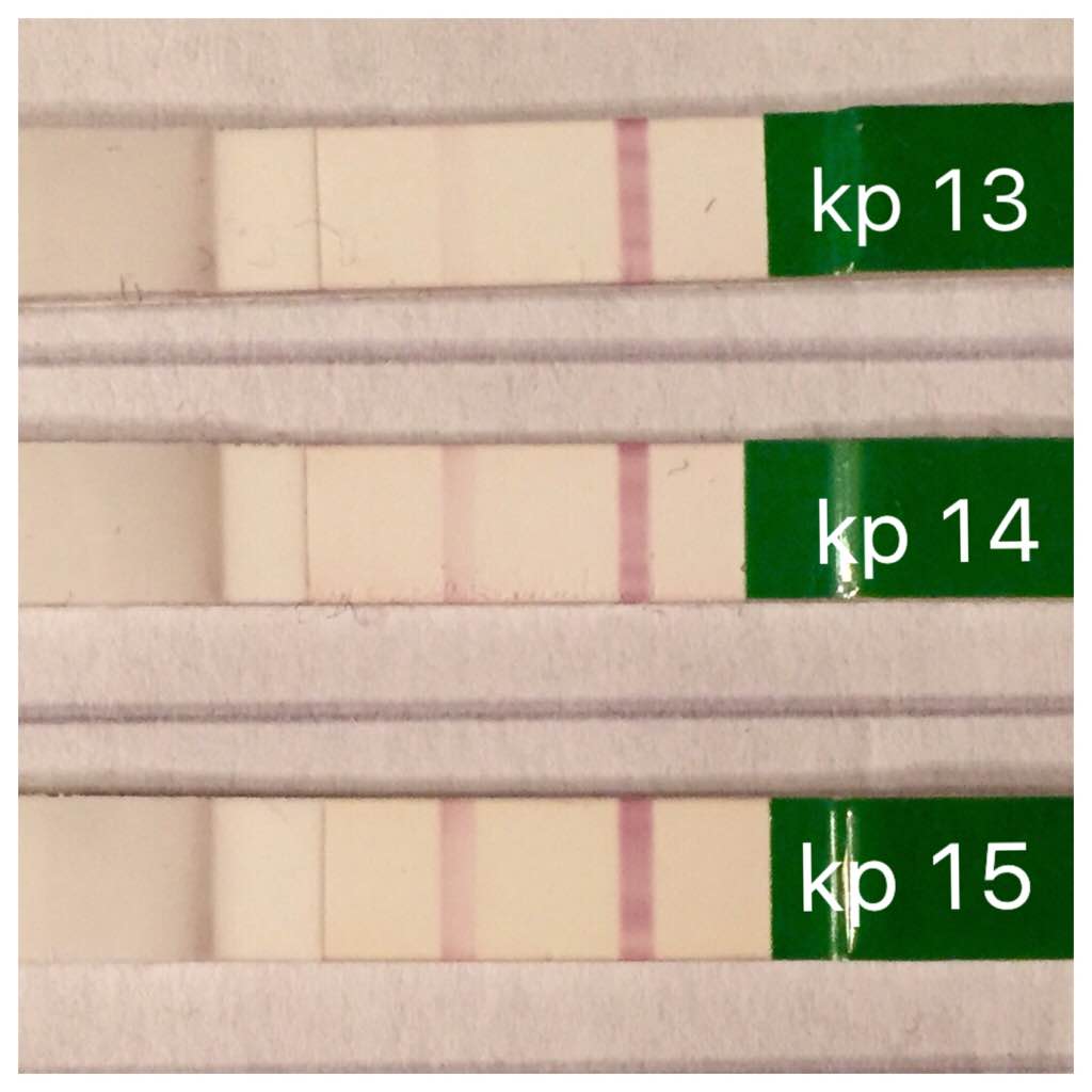 ImageUploadedByVau Foorumi1448540688.982322.jpg