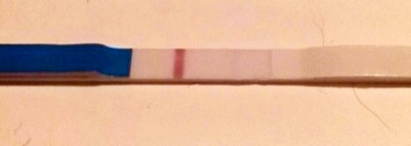 ImageUploadedByVau Foorumi1449565930.298499.jpg