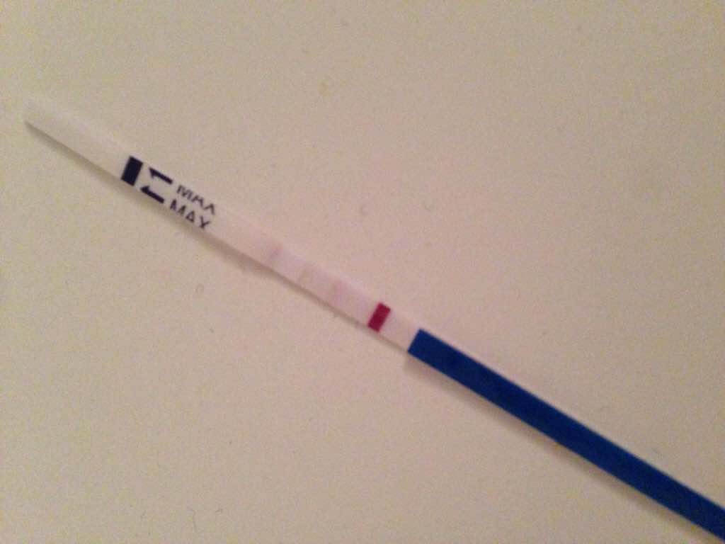 ImageUploadedByVau Foorumi1449729049.343545.jpg