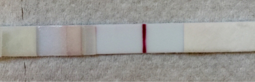 ImageUploadedByVau Foorumi1449775051.424076.jpg