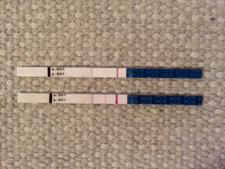 ImageUploadedByVau Foorumi1450770942.046059.jpg