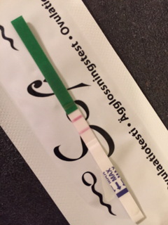 ImageUploadedByVau Foorumi1451922617.070279.jpg