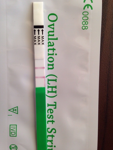 ImageUploadedByVau Foorumi1452944197.009232.jpg