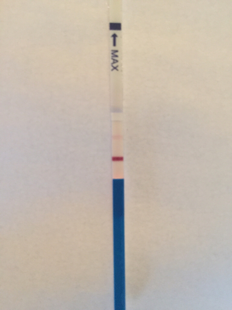 ImageUploadedByVau Foorumi1453110001.443866.jpg