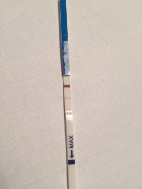 ImageUploadedByVau Foorumi1453110563.131511.jpg