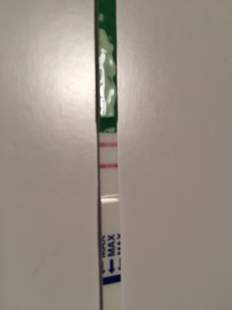 ImageUploadedByVau Foorumi1453383344.903693.jpg