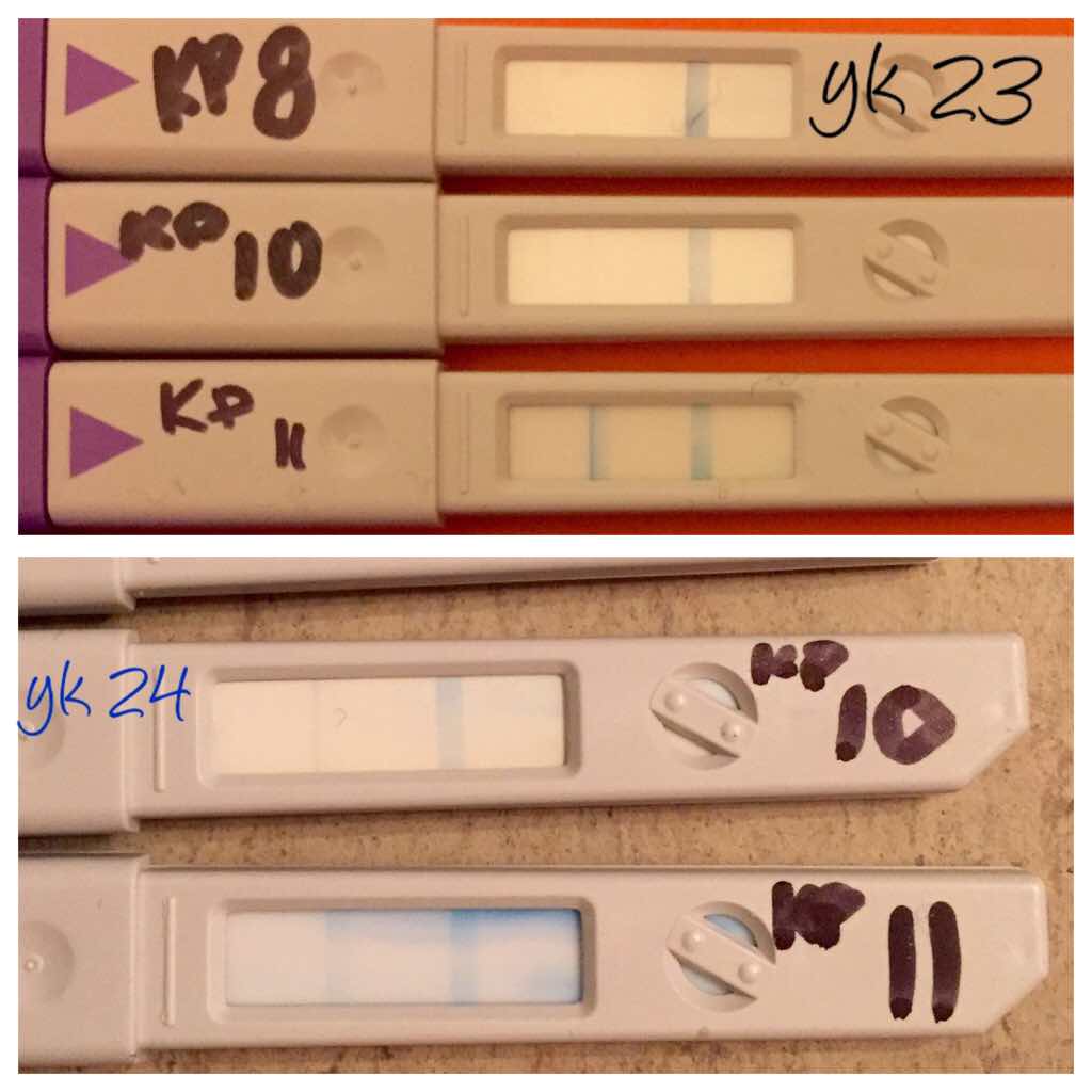 ImageUploadedByVau Foorumi1453620259.273283.jpg