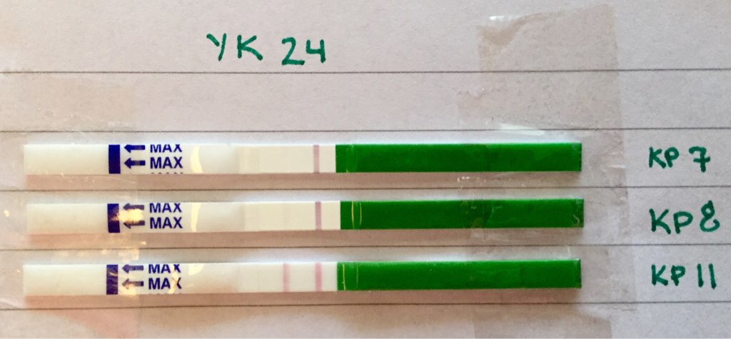 ImageUploadedByVau Foorumi1453623884.881985.jpg