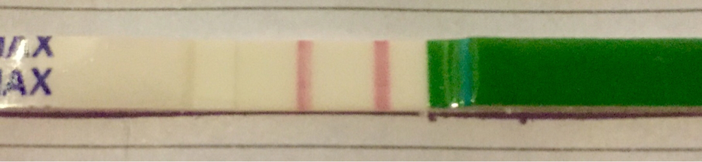 ImageUploadedByVau Foorumi1453624445.594750.jpg